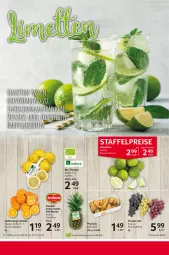 Gazetka promocyjna Selgros - Food - Gazetka - ważna od 14.02 do 14.02.2024 - strona 8 - produkty: bio, eis, limette, limetten, Mett, metten, monte, orange, Physalis, reis, saft, Schal, Ti