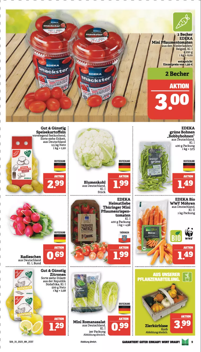 Aktueller Prospekt Marktkauf - Prospekt - von 27.08 bis 02.09.2023 - strona 9 - produkty: auer, bio, blume, blumen, blumenkohl, bohne, bohnen, deka, edeka bio, eis, grüne bohnen, kartoffel, kartoffeln, korb, Kürbis, Maus, möhren, pflaume, pflaumen, radieschen, rasen, ring, Romanasalat, salat, speisekartoffeln, tee, Ti, tomate, tomaten, zitrone, zitronen