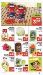Gazetka promocyjna Marktkauf - Prospekt - Gazetka - ważna od 02.09 do 02.09.2023 - strona 9 - produkty: auer, bio, blume, blumen, blumenkohl, bohne, bohnen, deka, edeka bio, eis, grüne bohnen, kartoffel, kartoffeln, korb, Kürbis, Maus, möhren, pflaume, pflaumen, radieschen, rasen, ring, Romanasalat, salat, speisekartoffeln, tee, Ti, tomate, tomaten, zitrone, zitronen