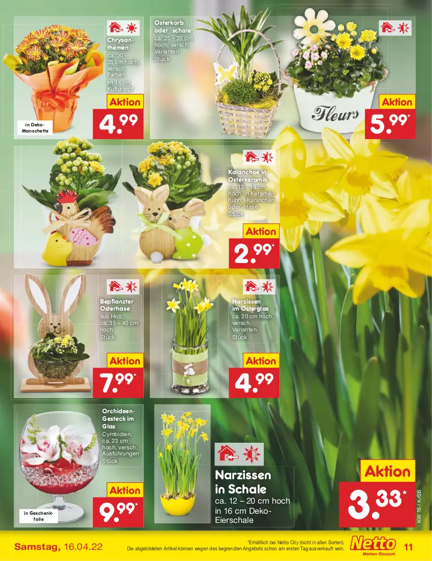 Aktueller Prospekt Netto Marken-Discount - Filial-Angebote - von 11.04 bis 16.04.2022 - strona 11 - produkty: angebot, chrysanthemen, eier, Holz, Kalanchoe, korb, kulturtopf, Narzissen, orchidee, orchideen, Ria, Schal, Schale, Ti, topf, ZTE