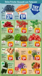 Gazetka promocyjna Rewe - Prospekte - Gazetka - ważna od 05.08 do 05.08.2023 - strona 7 - produkty: beere, beeren, bio, blume, blumen, bunte salate, eis, gurke, gurken, heidelbeere, heidelbeeren, kohlrabi, lavendel, LG, möhren, paprika, reis, rispentomaten, Romatomaten, rosen, rum, salat, salate, Schal, Schale, speisemöhren, Speisezwiebeln, Spitzpaprika, Ti, tiefpreis, tomate, tomaten, topf, zucchini, zwiebel, zwiebeln