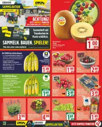Gazetka promocyjna Edeka - Prospekte - Gazetka - ważna od 12.07 do 12.07.2025 - strona 2 - produkty: banane, bananen, Bau, deka, dünger, eis, Elan, mac, pflanze, pflanzen, reis, Ria, tee, Ti, tisch, top-preis