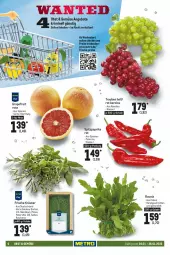 Gazetka promocyjna Metro - Food - Gazetka - ważna od 26.01 do 26.01.2022 - strona 6 - produkty: angebot, angebote, basilikum, cola, decke, eis, grapefruit, kräuter, Metro, minze, obst, paprika, paprika rot, petersilie, reis, rosmarin, rucola, Schal, Schale, schnitten, Spitzpaprika, Ti, trauben