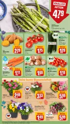 Gazetka promocyjna Rewe - Prospekte - Gazetka - ważna od 23.03 do 23.03.2024 - strona 9 - produkty: bio, blume, blumen, Blumenstrauß, braun, champignon, champignons, eis, grüner spargel, kartoffel, kartoffeln, möhren, rispentomaten, Schal, Schale, spargel, speisemöhren, Süßkartoffeln, Ti, tomate, tomaten, topf, zucchini