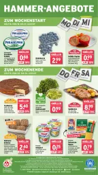 Gazetka promocyjna Wasgau - Gazetka - ważna od 24.08 do 24.08.2024 - strona 24 - produkty: almighur, almighurt, angebot, angebote, auer, Becher, beere, beeren, bio, braten, Brei, brötchen, drucker, ehrmann, ehrmann almighurt, eis, elle, Engel, erde, frischkäse, Garten, hafer, hartweizen, heidelbeere, heidelbeeren, Kaiser, Käse, käsekuchen, kerze, korn, kuchen, latte, mac, mais, malz, mehl, mehrkornbrötchen, Mett, Müller, Mürbteig, nudel, nudeln, paprika, philadelphia, reis, rwe, saft, salat, Schal, Schale, schoko, schwein, schweine, schweinemett, tee, Ti, tisch, wein, weine, weizenmehl