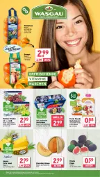 Gazetka promocyjna Wasgau - Gazetka - ważna od 24.08 do 24.08.2024 - strona 8 - produkty: ananas, angebot, beutel, eis, Feigen, freche freunde, korb, mandarine, mandarinen, melone, obst, orange, orangen, quetschbeutel, reis, Ti, trauben, vita, Vitamine