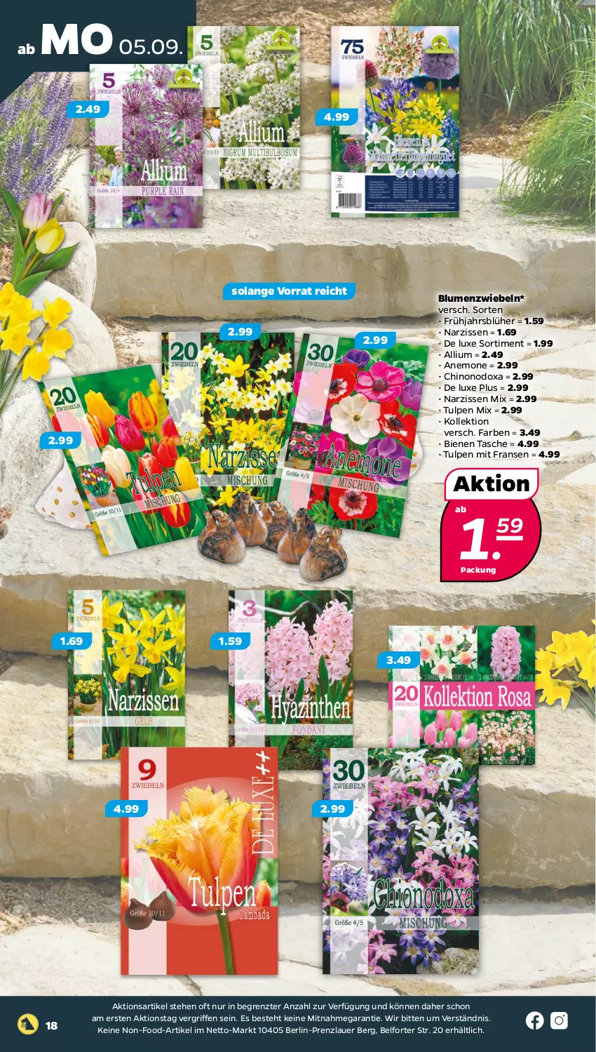 Aktueller Prospekt Netto - Woche 36 - von 05.09 bis 10.09.2022 - strona 18 - produkty: auer, blume, blumen, Narzissen, Tasche, Ti, ZTE, zwiebel, zwiebeln