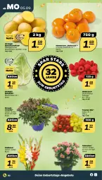 Gazetka promocyjna Netto - Woche 36 - Gazetka - ważna od 10.09 do 10.09.2022 - strona 2 - produkty: angebot, angebote, beere, beeren, eis, Gladiolen, himbeer, himbeere, himbeeren, Kalanchoe, kartoffel, kartoffeln, mandarine, mandarinen, mehl, Rauch, speisekartoffeln, spitzkohl, Ti, topf, trauben