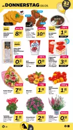 Gazetka promocyjna Netto - Woche 36 - Gazetka - ważna od 10.09 do 10.09.2022 - strona 22 - produkty: Alpenveilchen, Arnica, braten, brötchen, cherrytomaten, chrysanthemen, coppenrath, eis, fleisch, Fleischerei, gulasch, joghur, joghurt, pfirsich, pfirsiche, Ria, ricotta, rollbraten, sahne, Sahnejoghurt, Schere, schnitzel, Ti, tomate, tomaten, topf, zott