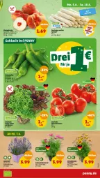 Gazetka promocyjna Penny - Prospekte - Gazetka - ważna od 10.06 do 10.06.2023 - strona 3 - produkty: eis, Körbchen, lavendel, paprika, pfirsich, pfirsiche, plattpfirsiche, reis, Schmuck, stauden, topf