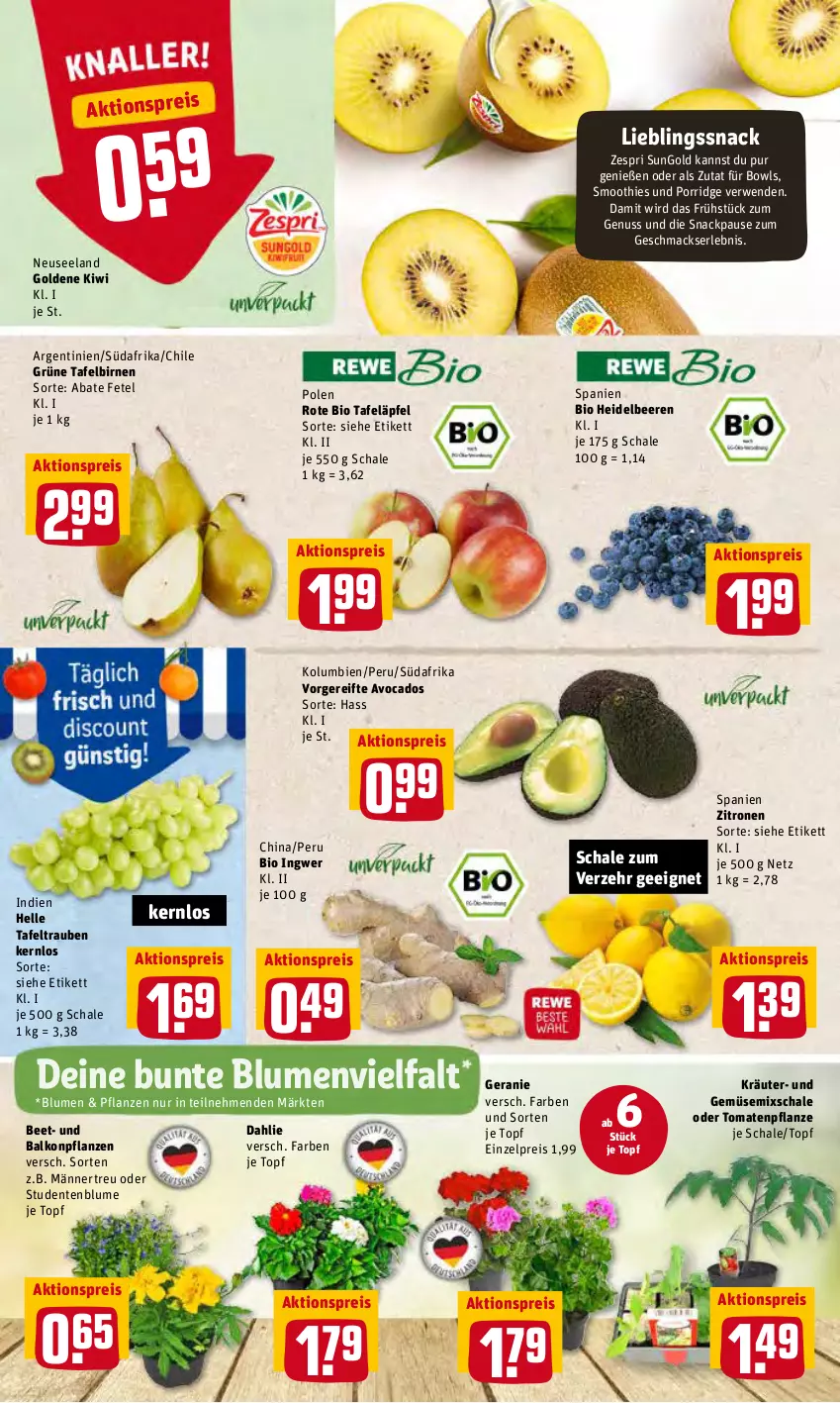 Aktueller Prospekt Rewe - Prospekte - von 09.05 bis 14.05.2022 - strona 2 - produkty: aktionspreis, avocado, avocados, balkonpflanzen, beere, beeren, bio, Birnen, blume, blumen, dahlie, eis, Elan, elle, ente, geranie, heidelbeere, heidelbeeren, ingwer, kiwi, kräuter, mac, nuss, pflanze, pflanzen, porridge, reis, rwe, Schal, Schale, smoothie, smoothies, snack, tafeläpfel, tafelbirnen, tafeltrauben, Ti, tomate, tomaten, topf, trauben, und gemüse, zespri, zitrone, zitronen