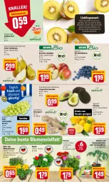 Gazetka promocyjna Rewe - Prospekte - Gazetka - ważna od 14.05 do 14.05.2022 - strona 2 - produkty: aktionspreis, avocado, avocados, balkonpflanzen, beere, beeren, bio, Birnen, blume, blumen, dahlie, eis, Elan, elle, ente, geranie, heidelbeere, heidelbeeren, ingwer, kiwi, kräuter, mac, nuss, pflanze, pflanzen, porridge, reis, rwe, Schal, Schale, smoothie, smoothies, snack, tafeläpfel, tafelbirnen, tafeltrauben, Ti, tomate, tomaten, topf, trauben, und gemüse, zespri, zitrone, zitronen