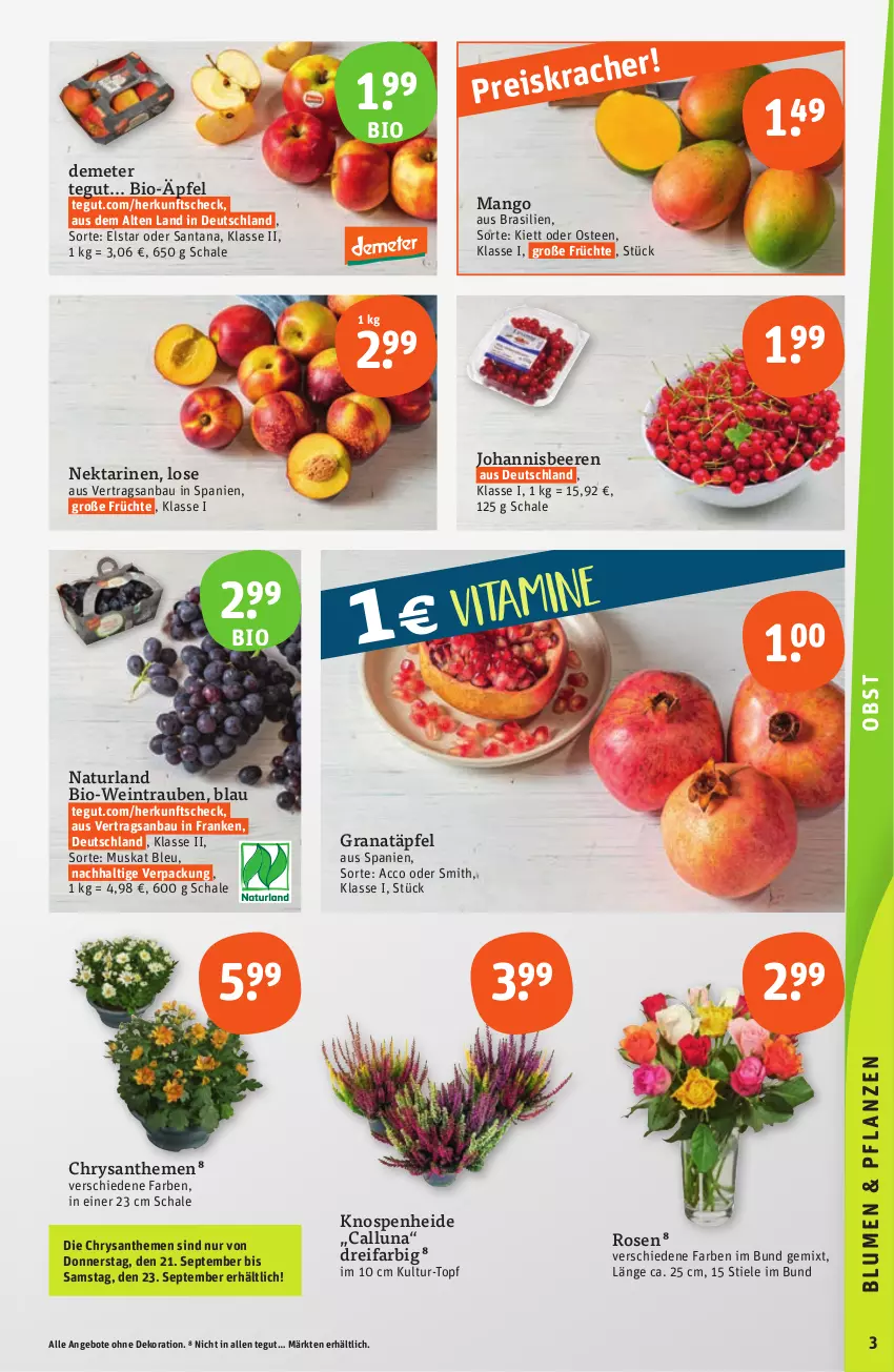 Aktueller Prospekt Tegut - Angebote der Woche - von 18.09 bis 23.09.2023 - strona 5 - produkty: ACC, angebot, angebote, Bau, beere, beeren, bio, Bio-Wein, chrysanthemen, dekoration, früchte, grana, Granatäpfel, johannisbeere, Johannisbeeren, mango, natur, naturland, Nektar, nektarinen, Rana, rosen, Schal, Schale, tee, Ti, topf, trauben, wein