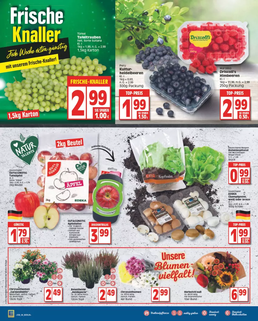 Aktueller Prospekt Edeka - Angebote der Woche - von 19.09 bis 24.09.2022 - strona 6 - produkty: apfel, ball, beere, beeren, beutel, blume, braun, champignon, champignons, chrysanthemen, deka, edelstahl, heidelbeere, heidelbeeren, himbeer, himbeere, himbeeren, kopfsalat, salat, Schal, Schale, sonnenblume, tafeläpfel, tafeltrauben, Ti, topf, trauben