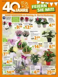 Gazetka promocyjna  - Prospekt für Globus Baumarkt  Achern - Gazetka - ważna od 07.05 do 07.05.2022 - strona 4 - produkty: beispielabbildung, blume, Blüte, eis, elle, gewürz, henkel, hortensie, hortensien, HP, hydrangea, korb, kräuter, kräutern, leonardo, mac, messer, orchidee, orchideen, pflanze, pflanzen, phalaenopsis, rosen, Spezi, Ti, tisch, topf, wein, whiskey, Yo, ZTE
