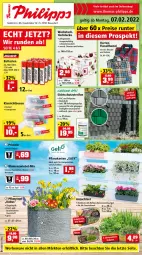 Gazetka promocyjna Thomas Philipps - Prospektwerbung - Gazetka - ważna od 12.02 do 12.02.2022 - strona 1 - produkty: Bank, batterie, batterien, blume, blumen, decke, Deckel, eis, fenster, fensterbank, hemd, Holz, Klarsichtbox, LG, Narzissen, Palette, passend für alle, Pflanzkasten, Pflanztopf, Primeln, reifen, reis, Ti, tisch, tischdecke, topf, tuc, wachstuch, ZTE, zwiebel