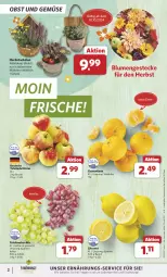 Gazetka promocyjna Combi - Prospekte - Gazetka - ważna od 12.10 do 12.10.2024 - strona 2 - produkty: beutel, blume, blumen, clementinen, eis, lebensmittel, obst, Obst und Gemüse, reis, Schal, Schale, tafeläpfel, tafeltrauben, Ti, trauben, und gemüse, zitrone, zitronen, ZTE