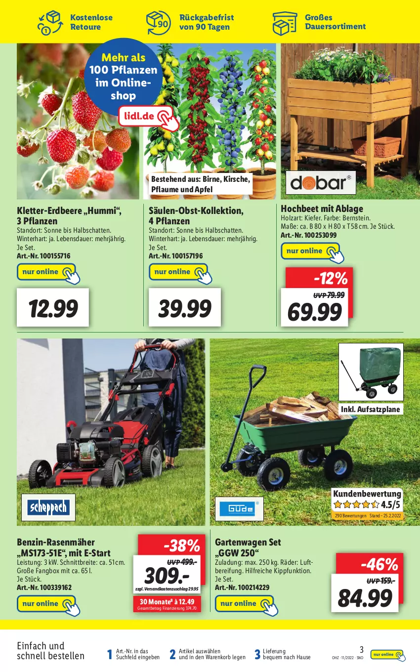 Aktueller Prospekt Lidl - Wochen-Highlights im Onlineshop - von 05.03 bis 20.03.2022 - strona 3 - produkty: apfel, auer, beere, Brei, eis, elle, erdbeere, Garten, Holz, kirsch, kirsche, korb, ndk, obst, pflanze, pflanzen, pflaume, rasen, rasenmäher, Ti