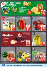 Gazetka promocyjna Edeka - Prospekte - Gazetka - ważna od 08.08 do 08.08.2026 - strona 4 - produkty: deka, eis, gutschein, HP, Kalanchoe, kiwi, LG, payback, pflanze, reis, tesa, Ti, zespri, ZTE