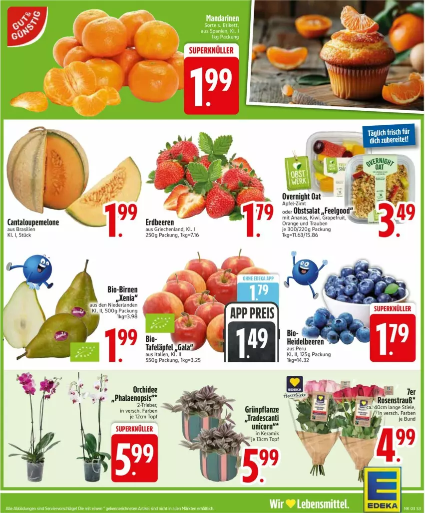 Aktueller Prospekt Edeka - Prospekte - von 12.01 bis 17.01.2026 - strona 5 - produkty: ananas, apfel, beere, beeren, bio, Birnen, deka, erdbeere, erdbeeren, grapefruit, heidelbeere, heidelbeeren, kiwi, lebensmittel, LG, melone, obst, orange, orchidee, pflanze, phalaenopsis, salat, tafeläpfel, Ti, topf, trauben