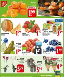 Gazetka promocyjna Edeka - Prospekte - Gazetka - ważna od 17.01 do 17.01.2026 - strona 5 - produkty: ananas, apfel, beere, beeren, bio, Birnen, deka, erdbeere, erdbeeren, grapefruit, heidelbeere, heidelbeeren, kiwi, lebensmittel, LG, melone, obst, orange, orchidee, pflanze, phalaenopsis, salat, tafeläpfel, Ti, topf, trauben