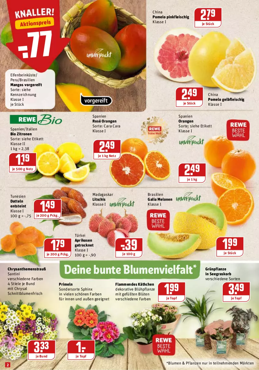 Aktueller Prospekt Rewe - REWE Ihr Kaufpark - von 10.01 bis 15.01.2022 - strona 2 - produkty: aktionspreis, aprikose, aprikosen, bio, blume, blumen, Blüte, chrysanthemen, Datteln, eis, fleisch, galia melonen, HP, korb, lamm, mango, mangos, melone, melonen, orange, orangen, pflanze, pflanzen, Pomelo, Primeln, reis, Ti, topf, zitrone, zitronen