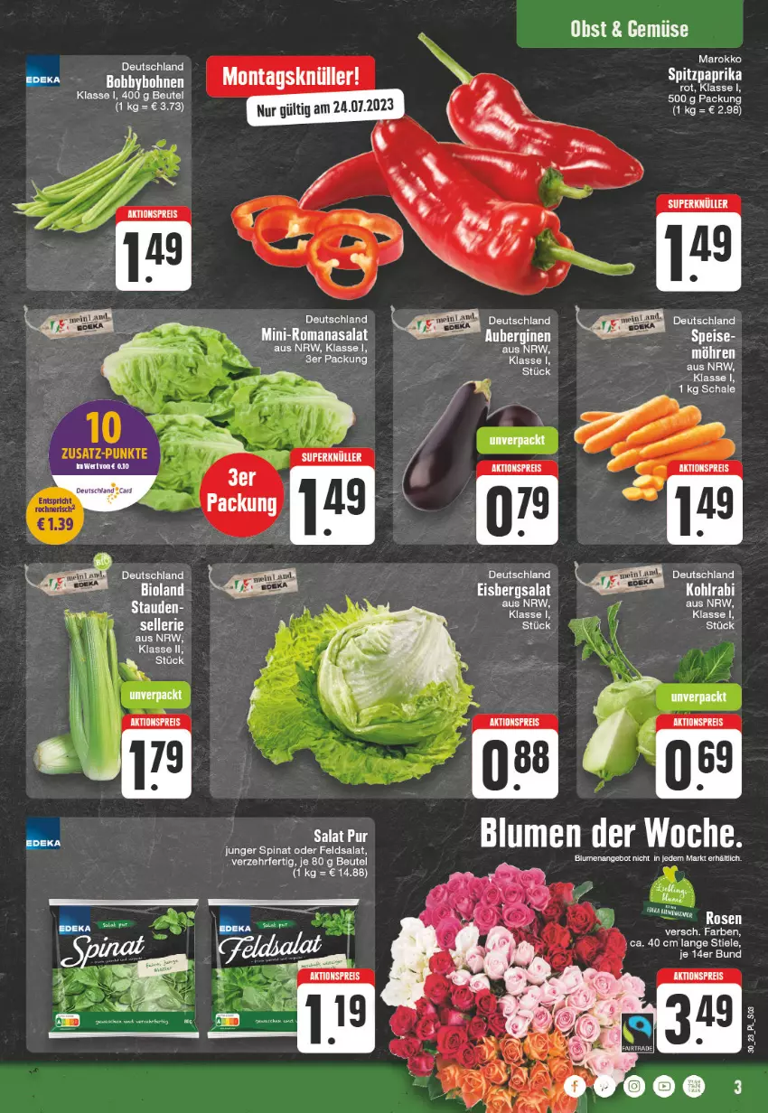 Aktueller Prospekt E Center - Angebote der Woche - von 24.07 bis 29.07.2023 - strona 3 - produkty: aktionspreis, angebot, aubergine, auberginen, beutel, bio, bioland, blume, blumen, deutschland card, eis, eisbergsalat, elle, feldsalat, gin, kohlrabi, paprika, reis, Romanasalat, salat, Schal, Schale, spinat, Spitzpaprika, Ti