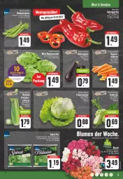 Gazetka promocyjna E Center - Angebote der Woche - Gazetka - ważna od 29.07 do 29.07.2023 - strona 3 - produkty: aktionspreis, angebot, aubergine, auberginen, beutel, bio, bioland, blume, blumen, deutschland card, eis, eisbergsalat, elle, feldsalat, gin, kohlrabi, paprika, reis, Romanasalat, salat, Schal, Schale, spinat, Spitzpaprika, Ti