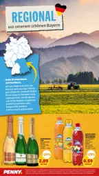 Gazetka promocyjna Penny - Prospekte - Gazetka - ważna od 03.06 do 03.06.2023 - strona 10 - produkty: adelholzener, Alwa, eis, flasche, frucht, fruchtsaft, Holz, LG, mineralwasser, mit frucht, pet-flasche, reis, saft, sekt, Ti, wasser, ZTE