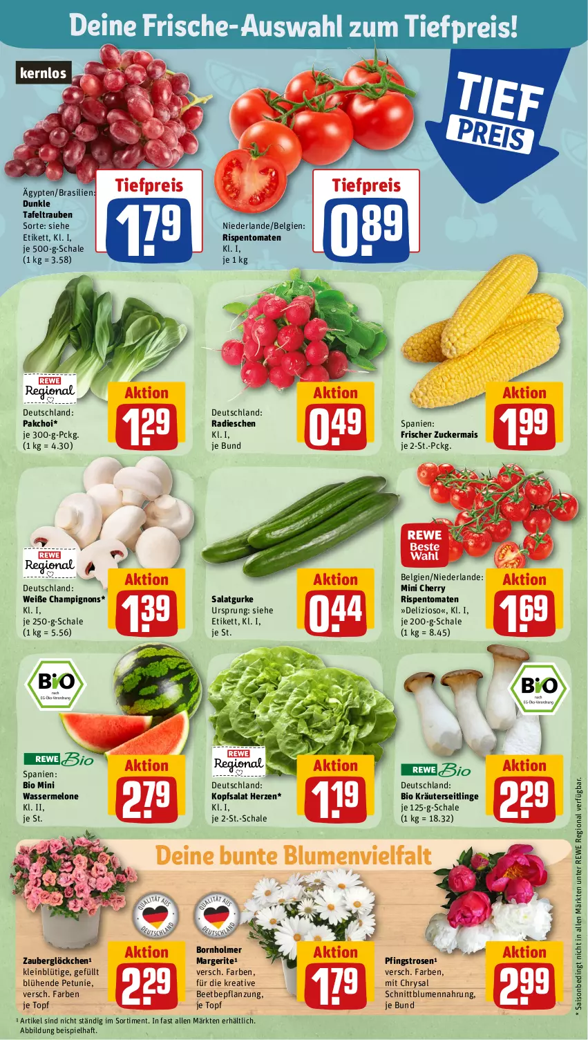 Aktueller Prospekt Rewe - Prospekte - von 12.06 bis 17.06.2023 - strona 5 - produkty: bio, blume, blumen, champignon, champignons, eis, gurke, kopfsalat, kräuter, Kräuterseitlinge, LG, mais, melone, petunie, Pfingstrosen, radieschen, reis, rispentomaten, rosen, salat, Salatgurke, Schal, Schale, tafeltrauben, Ti, tiefpreis, tomate, tomaten, topf, trauben, wasser, wassermelone, zauberglöckchen, zucker, zuckermais