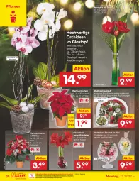 Gazetka promocyjna Netto Marken-Discount - Filial-Angebote - Gazetka - ważna od 17.12 do 17.12.2022 - strona 20 - produkty: bestpreis, eis, kulturtopf, ndk, orchidee, orchideen, pflanze, pflanzen, reis, Ti, topf, Vase, weihnachten, Weihnachtsstern, zwiebel