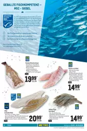 Gazetka promocyjna Metro - GastroJournal - Gazetka - ważna od 01.06 do 01.06.2022 - strona 6 - produkty: Abtei, angebot, angebote, aqua, ball, eis, ente, erde, filet, fisch, fische, Fischer, fleisch, frischfisch, garnelen, mac, Ragout, Rotbarsch, rotbarschfilet, rwe, Schere, scholl, Ti, Wild