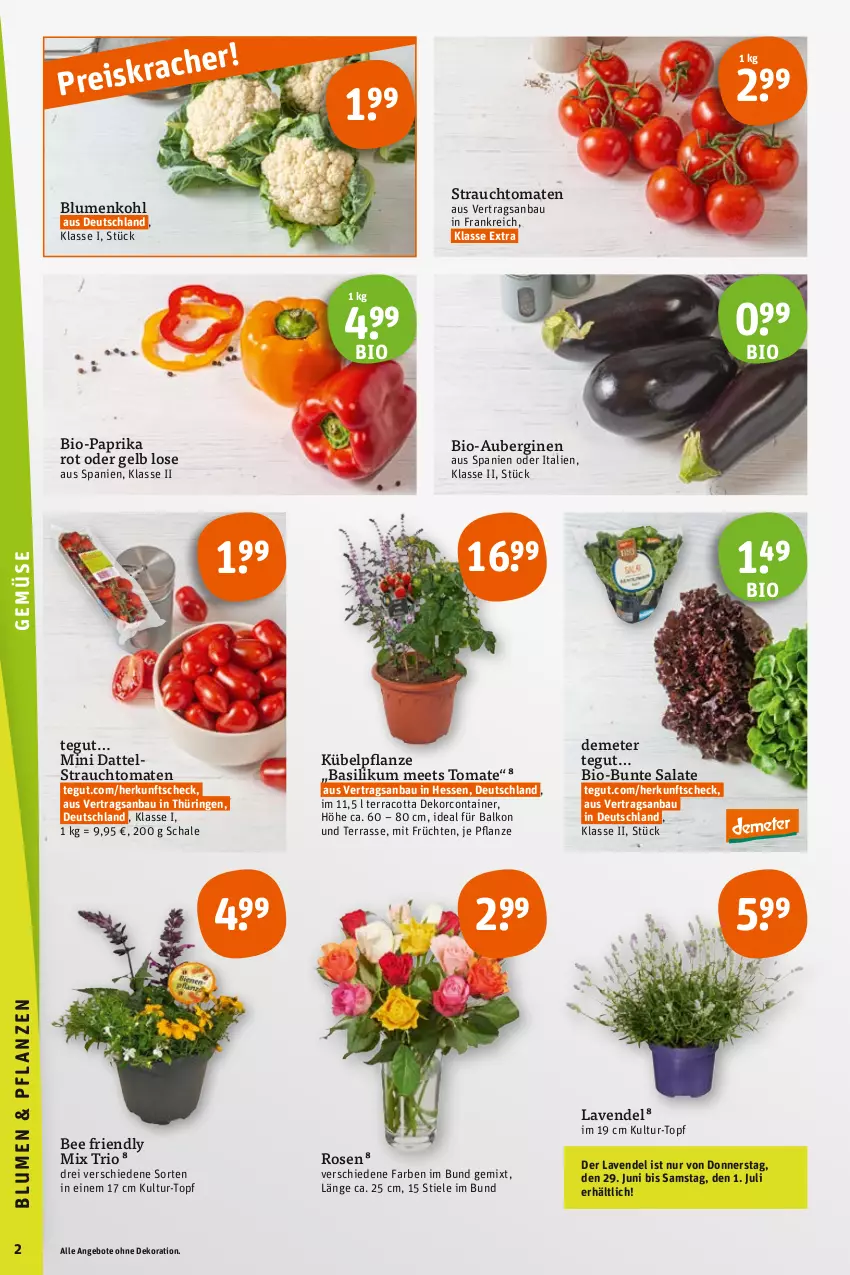 Aktueller Prospekt Tegut - Angebote der Woche - von 24.06 bis 24.06.2023 - strona 4 - produkty: angebot, angebote, aubergine, auberginen, basilikum, Bau, bio, Bio-Paprika, blume, blumen, blumenkohl, bunte salate, Container, dekoration, eis, früchte, früchten, gin, lavendel, paprika, paprika rot, pflanze, Rauch, reis, ring, rosen, salat, salate, Schal, Schale, strauchtomaten, Ti, tomate, tomaten, topf