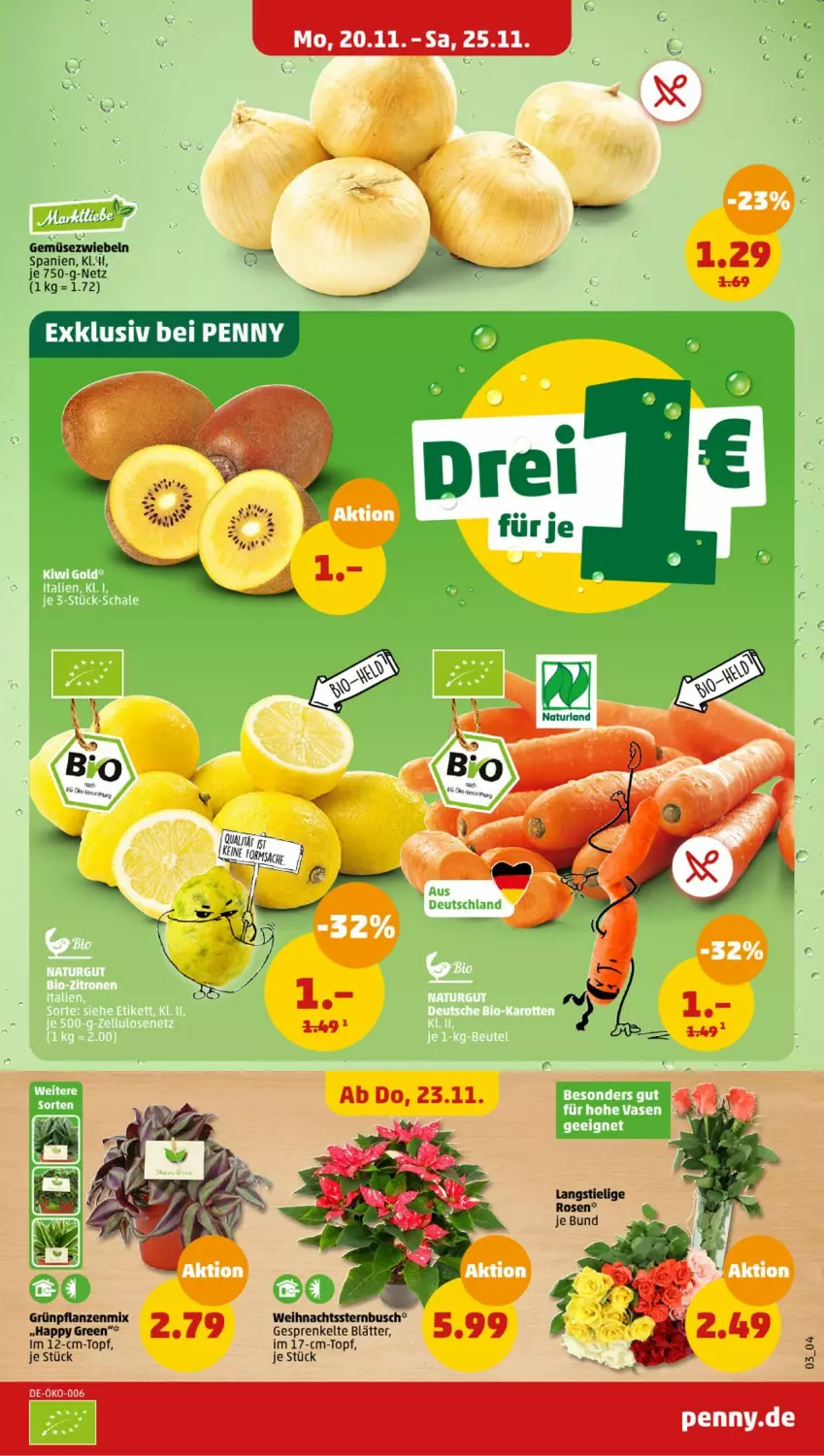 Aktueller Prospekt Penny - Prospekte - von 20.11 bis 25.11.2023 - strona 3 - produkty: Gemüsezwiebel, Grünpflanzen, pflanze, pflanzen, topf, Weihnachtsstern, zwiebel, zwiebeln