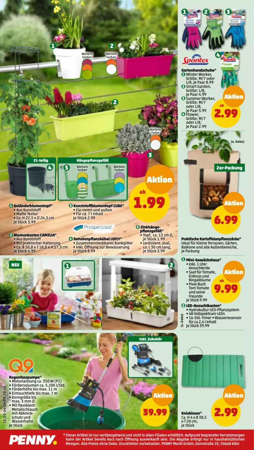 Aktueller Prospekt Penny - Prospekte - von 27.02 bis 04.03.2023 - strona 18 - produkty: blume, blumen, buch, camelia, eis, Elan, erde, erdnuss, Garten, Gewächshaus, handschuhe, kartoffel, korn, leds, leine, LG, nuss, reis, ring, rum, schlauch, schuhe, Spektrum, Ti, timer, tisch, tomate, tomaten, topf, wasser, ZTE