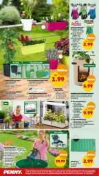 Gazetka promocyjna Penny - Prospekte - Gazetka - ważna od 04.03 do 04.03.2023 - strona 18 - produkty: blume, blumen, buch, camelia, eis, Elan, erde, erdnuss, Garten, Gewächshaus, handschuhe, kartoffel, korn, leds, leine, LG, nuss, reis, ring, rum, schlauch, schuhe, Spektrum, Ti, timer, tisch, tomate, tomaten, topf, wasser, ZTE