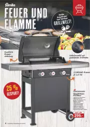 Gazetka promocyjna Famila - Prospekte - Gazetka - ważna od 31.10 do 31.10.2024 - strona 4 - produkty: decke, Deckel, dell, edelstahl, eis, elle, gasgrill, grill, grillrost, lamm, Mode, reis, Schal, Schale, teller