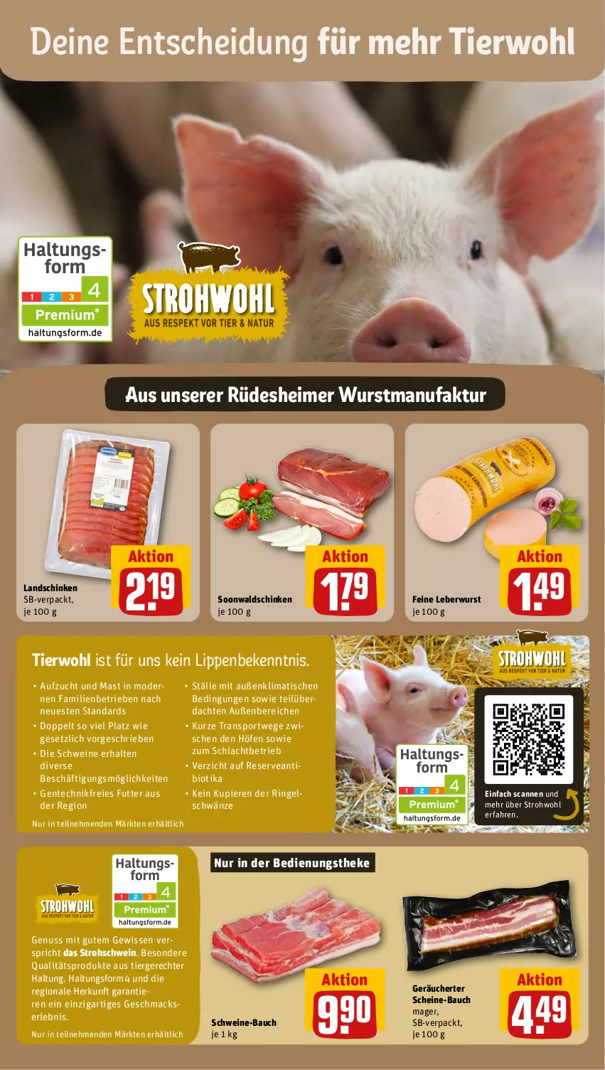 Aktueller Prospekt Rewe - Prospekte - von 19.02 bis 24.02.2024 - strona 10 - produkty: Bau, bio, eimer, ente, Faktu, landschinken, leberwurst, mac, Mode, nuss, ring, schinken, schwein, schweine, schweine-bauch, Sport, Ti, tisch, wein, weine, wurst