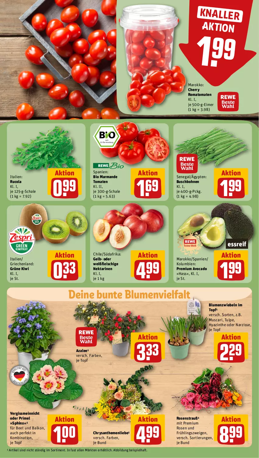 Aktueller Prospekt Rewe - Prospekte - von 19.02 bis 24.02.2024 - strona 7 - produkty: avocado, bio, blume, blumen, bohne, bohnen, Buschbohnen, chrysanthemen, cola, eimer, eis, fleisch, kiwi, Nektar, nektarinen, Romatomaten, rosen, Rosenstrauß, rucola, Schal, Schale, Ti, tomate, tomaten, topf, zwiebel, zwiebeln