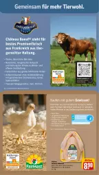 Gazetka promocyjna Rewe - Prospekte - Gazetka - ważna od 24.02 do 24.02.2024 - strona 11 - produkty: ball, Bau, eis, fleisch, leine, rind, rinder, Sport, Ti