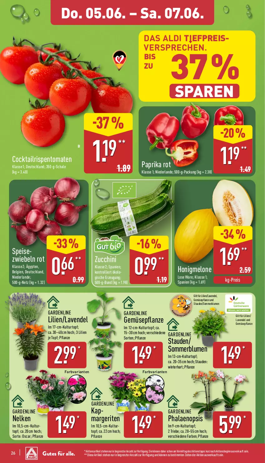Aktueller Prospekt Aldi Nord - Von Montag - von 02.06 bis 07.06.2025 - strona 26 - produkty: aldi, blume, blumen, cocktail, eis, gin, honig, honigmelone, kulturtopf, lavendel, LG, melone, paprika, pflanze, phalaenopsis, reis, Ria, rispentomaten, Schal, Schale, Speisezwiebeln, stauden, Ti, tomate, tomaten, topf, trolli, ZTE, zucchini, zwiebel, zwiebeln