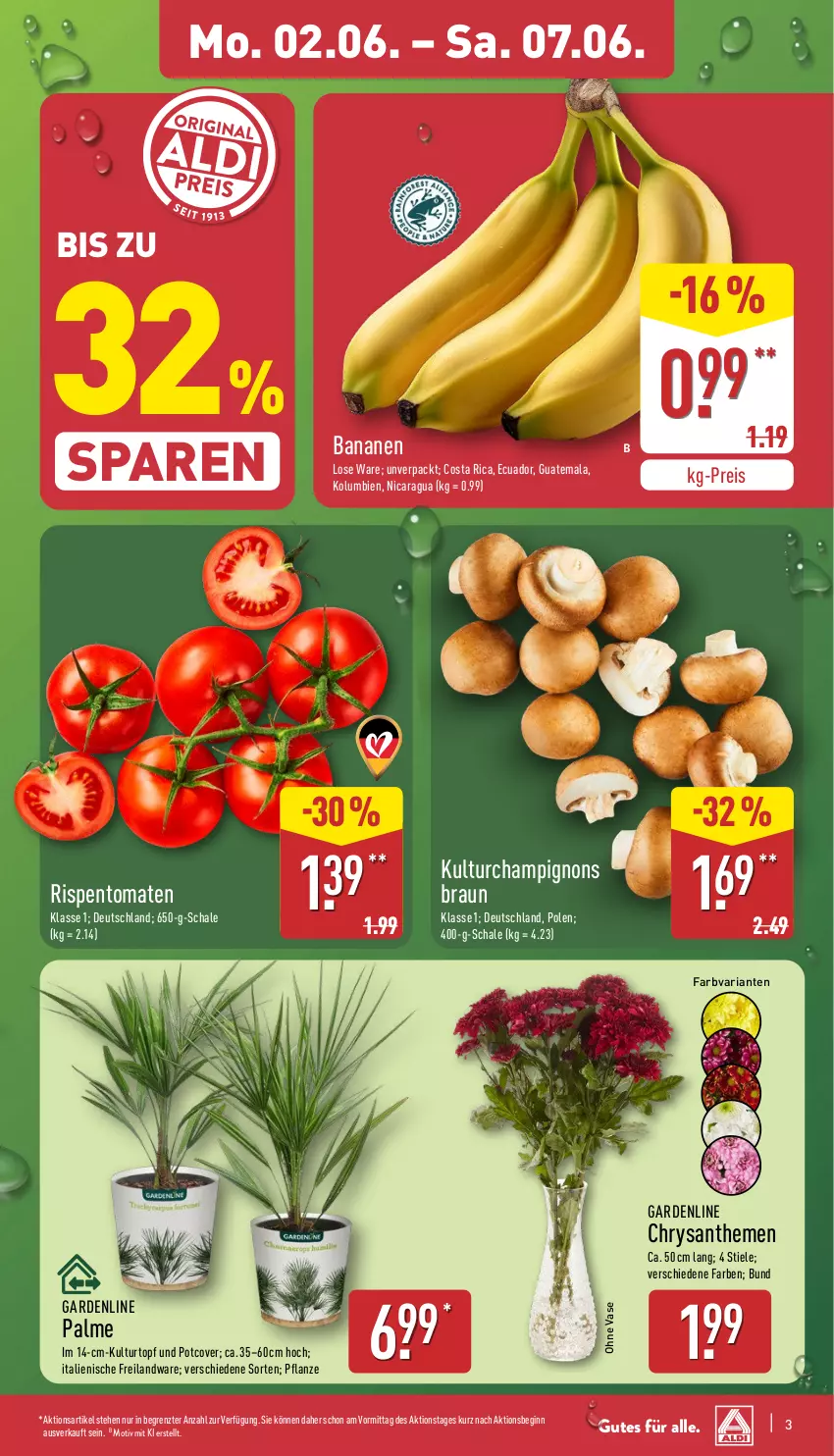 Aktueller Prospekt Aldi Nord - Von Montag - von 02.06 bis 07.06.2025 - strona 3 - produkty: banane, bananen, braun, champignon, champignons, chrysanthemen, eis, gin, kulturtopf, pflanze, reis, Ria, rispentomaten, Schal, Schale, Ti, tomate, tomaten, topf, Vase, ZTE