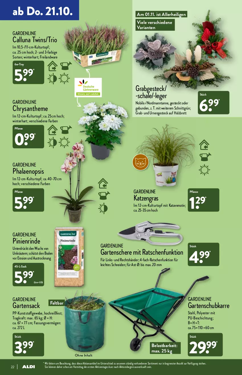 Aktueller Prospekt Aldi Nord - Aldi-Aktuell - von 18.10 bis 23.10.2021 - strona 22