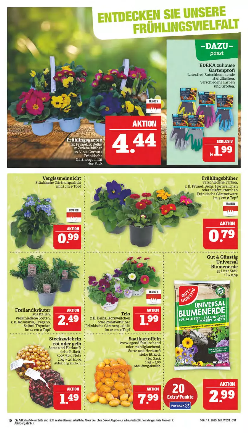 Aktueller Prospekt Marktkauf - Prospekt - von 09.03 bis 15.03.2025 - strona 10 - produkty: deka, eis, Garten, reis, Ti, zwiebel