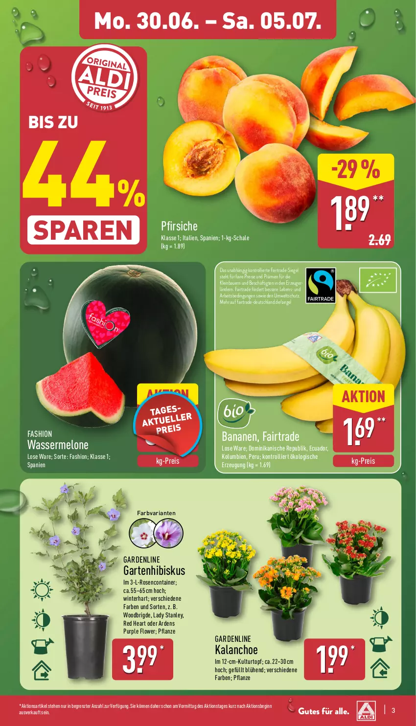 Aktueller Prospekt Aldi Nord - Von Montag - von 30.06 bis 05.07.2025 - strona 3 - produkty: auer, banane, bananen, Bau, Bauer, Container, eis, Garten, gin, Kalanchoe, kulturtopf, melone, pfirsich, pfirsiche, pflanze, reis, Ria, rosen, Schal, Schale, Ti, topf, trolli, wasser, wassermelone, ZTE