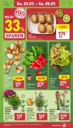 Gazetka promocyjna Aldi Nord - Von Montag - Gazetka - ważna od 05.07 do 05.07.2025 - strona 27 - produkty: ball, blume, blumen, braun, champignon, champignons, champignons braun, Elan, kiwi, kulturtopf, lavendel, LG, pflanze, phalaenopsis, radieschen, salat, Schal, Schale, stauden, Ti, topf, trolli, zespri, ZTE