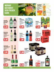 Gazetka promocyjna Feneberg - Prospekte - Gazetka - ważna od 26.08 do 26.08.2023 - strona 12 - produkty: alkohol, Alwa, apfel, Apfelschorle, bier, coca-cola, coffein, cola, discount, ecco, eis, flasche, franziskaner, freixenet, frucht, fruchtsecco, fürst von metternich, Germ, getränk, Happy Day, jack daniel, jack daniels, jägermeister, kräuter, kräuterlikör, lebensmittel, likör, Meister, Mett, metternich, mineralwasser, pet-flasche, pet-flaschen, reis, rotkäppchen, rwe, schorle, sekt, Ti, vitrex, wasser, wein, weine, whiskey