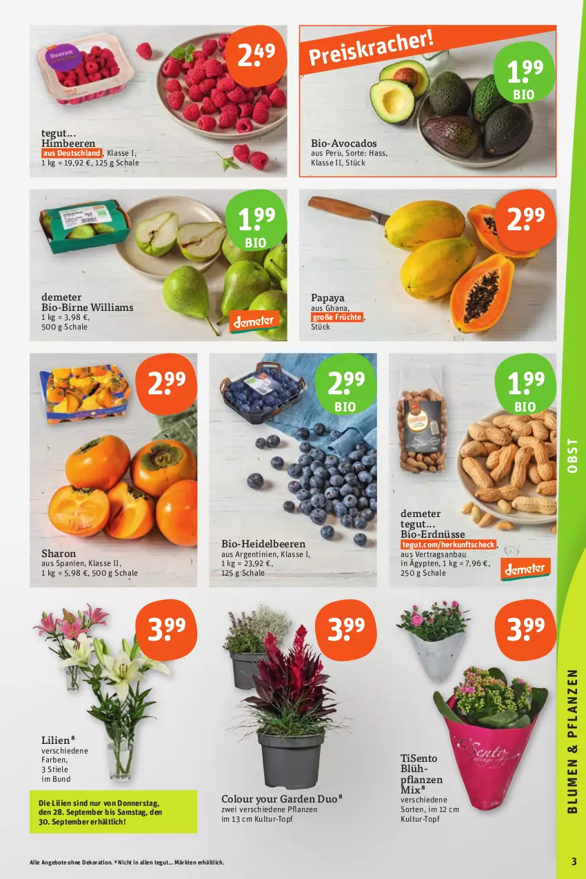 Aktueller Prospekt Tegut - Angebote der Woche - von 23.09 bis 30.09.2023 - strona 3 - produkty: angebot, angebote, avocado, avocados, Bau, beere, beeren, bio, dekoration, eis, erdnüsse, früchte, heidelbeere, heidelbeeren, himbeer, himbeere, himbeeren, HP, Papaya, pflanze, pflanzen, reis, Schal, Schale, Ti, topf, Yo