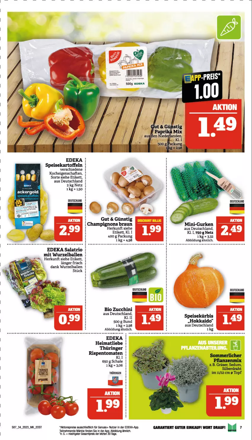 Aktueller Prospekt Marktkauf - Prospekt - von 20.08 bis 26.08.2023 - strona 7 - produkty: ackergold, aktionspreis, auer, ball, bio, braun, champignon, champignons, champignons braun, deka, eis, kartoffel, kartoffeln, Kürbis, nuss, reis, ring, salat, speisekartoffeln, tee, Ti, tomate, tomaten, zucchini