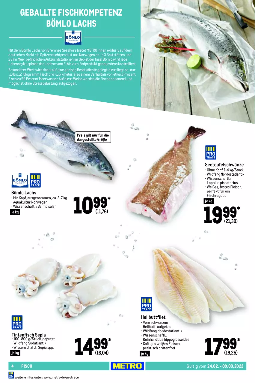 Aktueller Prospekt Metro - GastroJournal - von 24.02 bis 09.03.2022 - strona 4 - produkty: aqua, ball, brut, eis, erde, filet, fisch, fische, fleisch, Heilbuttfilet, hipp, lachs, Meerwasser, Metro, Ragout, reis, ring, rwe, saft, Ti, tisch, trolli, wasser, Wild